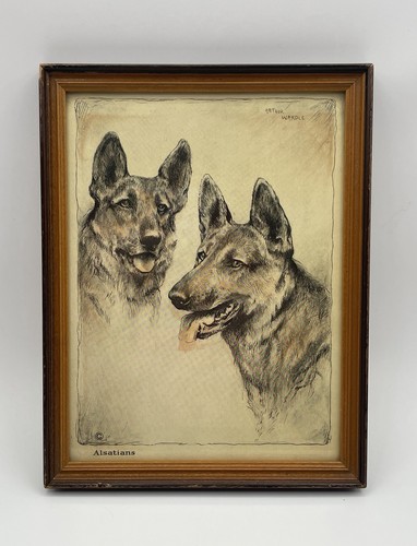 Vintage arthur wardle print - wardle, of
