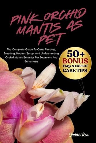 Pink orchid mantis pet the - pink, pet: