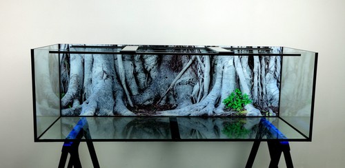 Long aquarium 620l - 6, ft