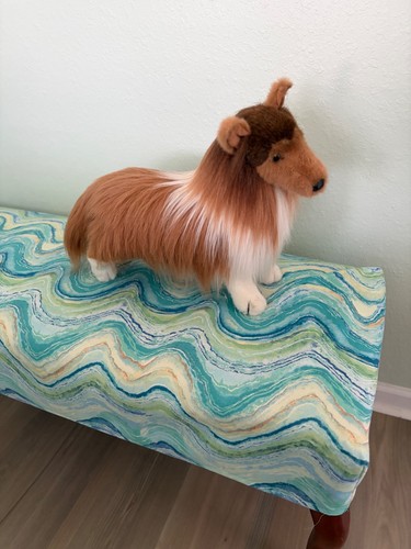 Douglas dixie sheltie - dixie, dog