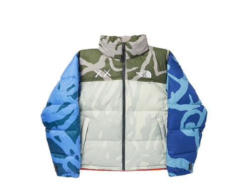 Kaws the north face - north,