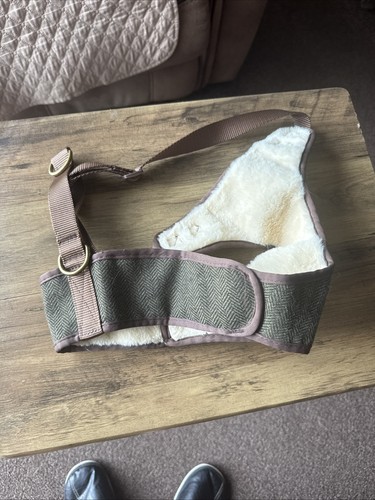 Wainwright green brown - wainwright's, green/brown