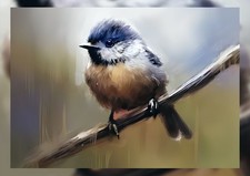 Bold perched bluetit - bold, bluetit,