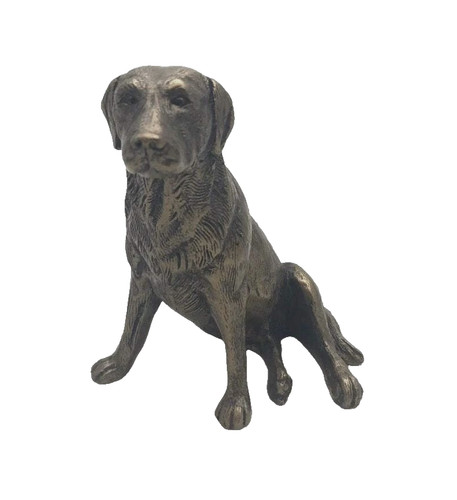 Labrador dog sitting cold - labrador,