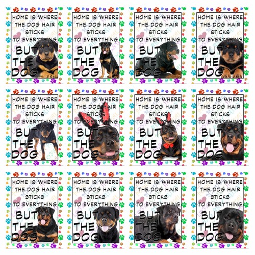 Rottweiler retro metal - retro,