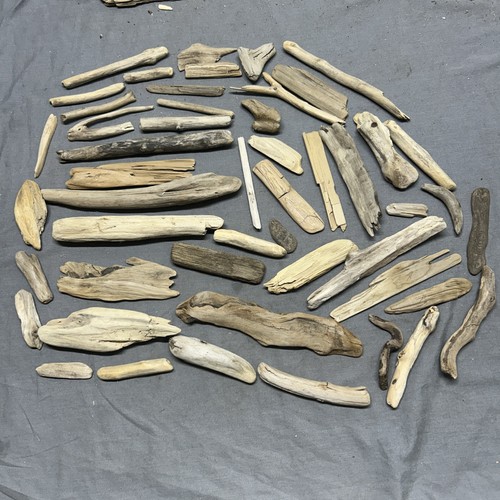 Lot 50pcs natural - of,