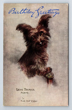 Animals: Dogs. Skye Terrier Puppy. Maud West Watson. Unposted.
