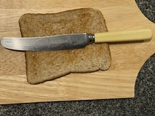 Vintage Butter Knife Faux Bone