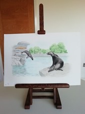 ORIGINAL WATERCOLOUR CHILDREN'S BOOK ILLUSTRATION -ZOO SEA LIONS -8.25'' x 12''