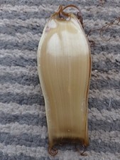 Mermaids Purse, Ray Shark egg