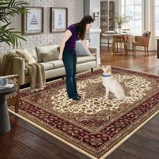 Traditional large rugs - traditional, living