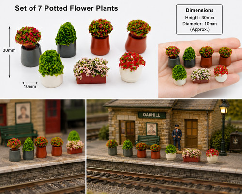 Set potted flowers plants - potted,
