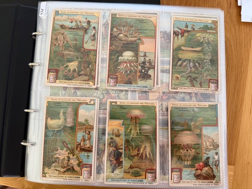 Liebig trade cards 50 x - cards,