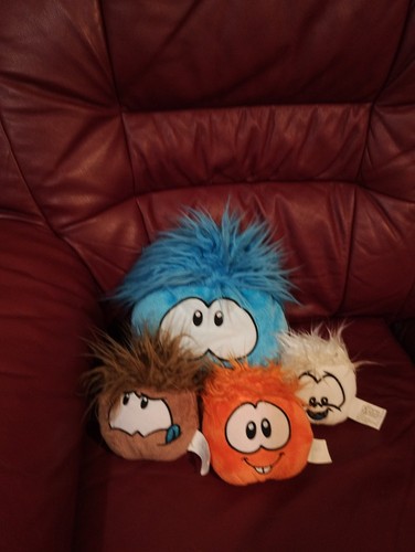 Club penguin puffle - penguin, plush