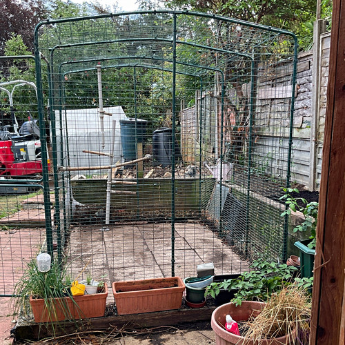 Large outdoor walk - outdoor, chicken