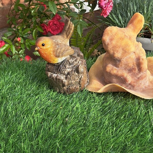 Latex mould robin on - of, a