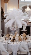 XL Ostrich Feathers x180