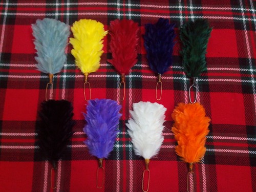 Feather hackle plume - feather,