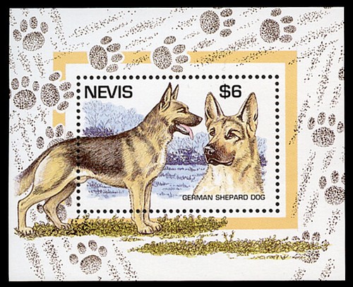 German shepherd dog gsd - german,