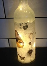 LED Light up Decoupaged