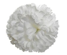 72 CARNATION PICK FLOWERS FUNERAL FLORIST TRIBUTE WEDDING CORSAGE PICKS FLOWER