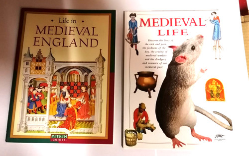 Medieval life england pitkin - life,