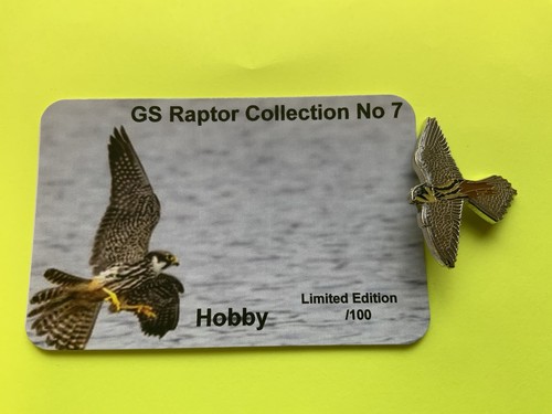 None rspb badge - hobby, with