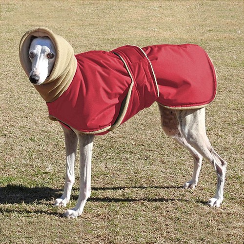 Warm waterproof dog - waterproof, for