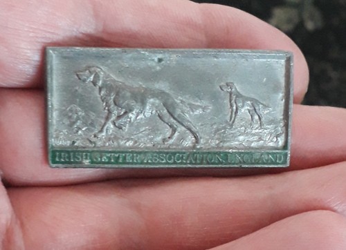 Irish setter association - irish,