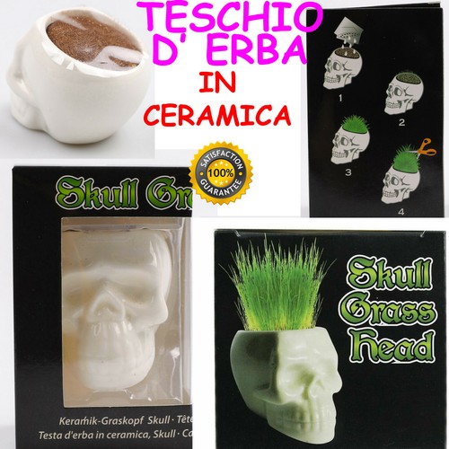 Skull ceramic game grass - skull, vase
