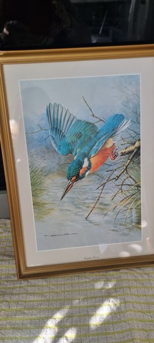 Print frame of - print,