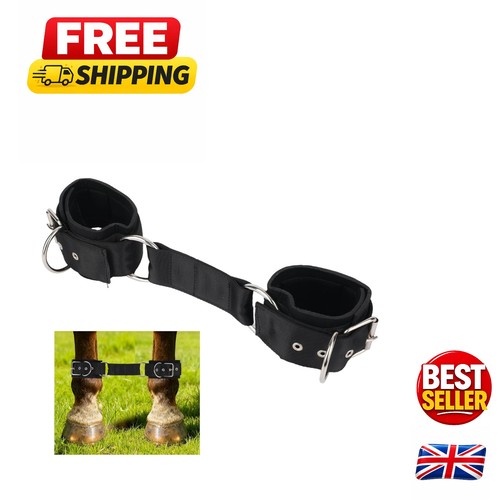 Essential horse training - essential,