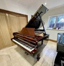 Restored Danemann 9ft Concert