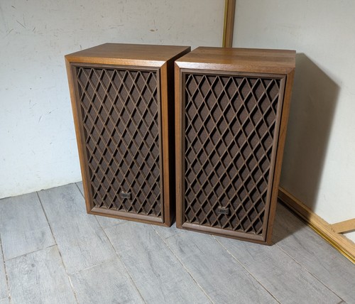 Vintage pair realistic nova - vintage,