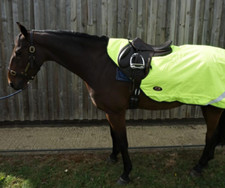 Ruggles Hi-Viz 100g Waterproof