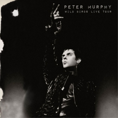 Peter murphy wild - murphy, birds