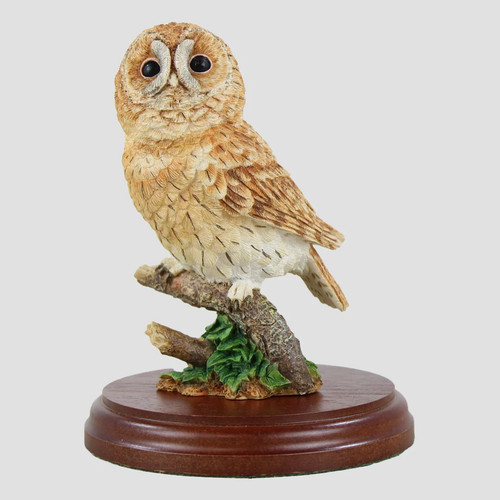 Tawny owl branch border - owl,