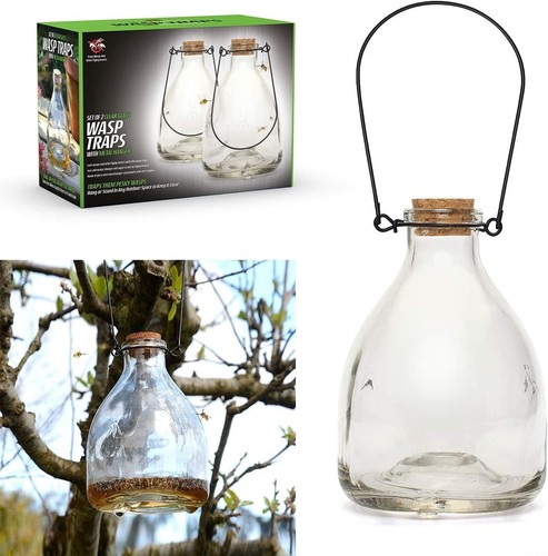 Set wasp trap - set, catcher