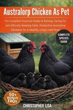 Australorp Chicken as Pet: The