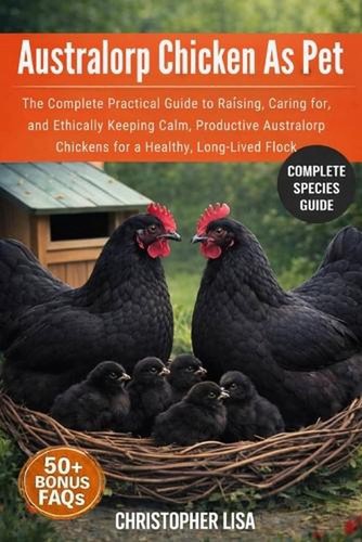 Australorp chicken pet the - as,