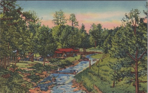 Ruidoso river cabin - nm:,