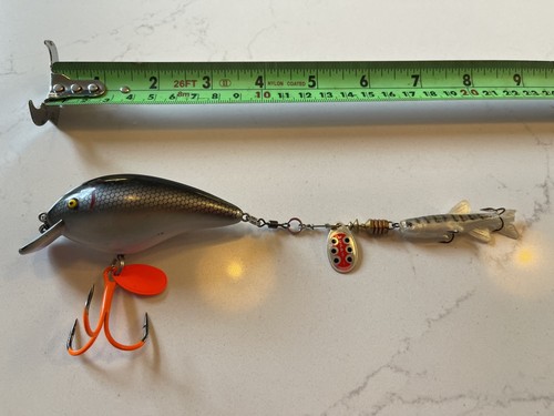 Rattling roach fatso - fatso, diving