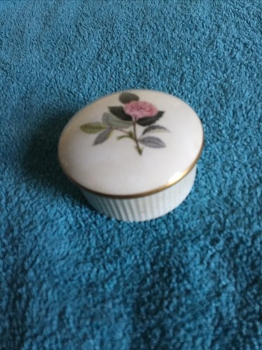 Wedgewood hathaway rose - wedgewood, bone