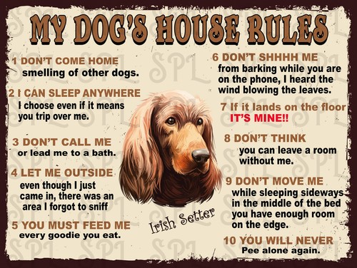 Dog house rules - my,