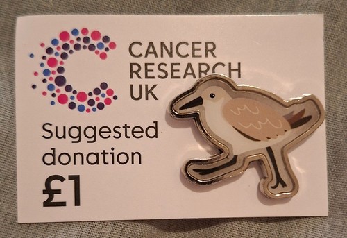 Cancer research charity pin - cancer,
