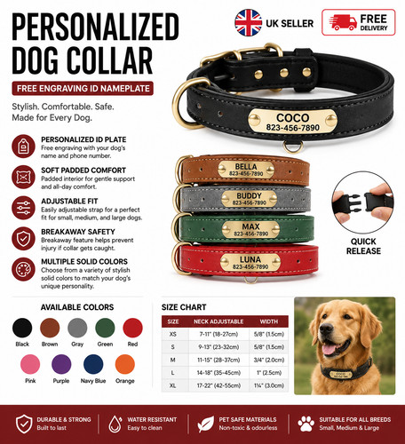 Personalised dog collar - dog,