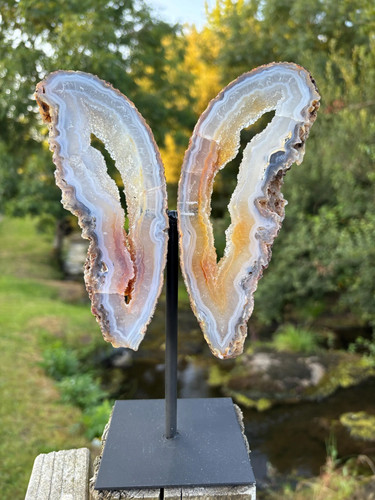 Agate geode butterfly - geode, wings