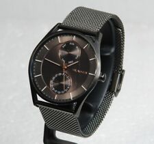 Skagen SKW6180 Day & Date Quartz Holst Grey Watch with Mesh Bracelet Strap