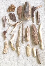 19x driftwood pieces good shapes EAST  SUSSEX SEA BEACH craft art FREE FAST POST