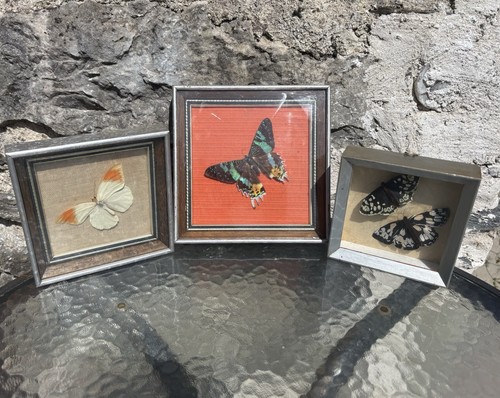 Collection framed - collection,